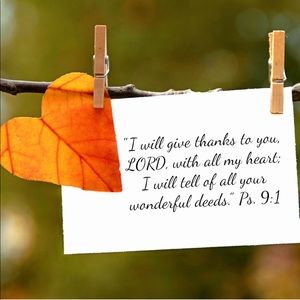 Meet your Posher, Isobel Rose